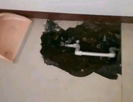 马鞍山卫生间测漏水多少钱